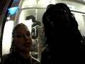 Black eye peas @ Deal Real