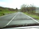 Un Minuto Dal Disastro - Sicilia-Incidente-Mucca sulla strada