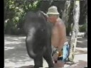 A little too close