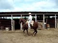 Mazatlan Outback Adventours2.wmv Mazatlan Outback Adventours2.wmv