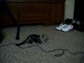 videos de DSCF0299.MP4