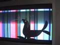 1967 Dr. Doolittle Opening Credits
