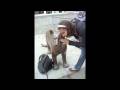 videos de Brooke's new law 