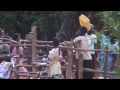 Lotan Yair video 1