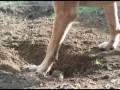 Canon FS100 Sample #2