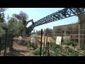 Video Furius Baco
