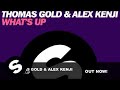 Thomas Gold & Alex Kenji - What's Up (Dub Mix)