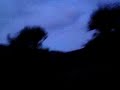 Search Video