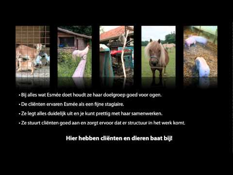Mbo Uitblinker 2012 De Groene Welle