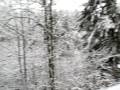 Snoqualme Seattle Area Ice Formation Jan 2009