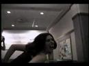 Gossamer Trailer Gossamer Trailer
