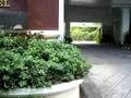 Dyson Estates, Star Beach Condo, Pattaya, Thailand