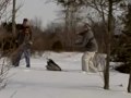 GFDGA Disc Golf Promo