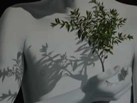 White series video. White series video.