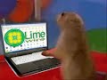 Dramatic Chipmunk File Sharing