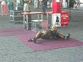 crazy yoga contortionist