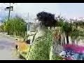 aman-ntalikierides.html