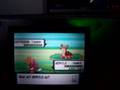 Shiny Gastrodon with the Poké Radar