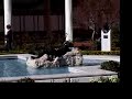 getty-villa-tour.html