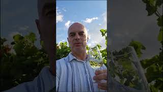 Bez čoho sa tradičný SOBRANSKÝ JARMOK nezaobíde?