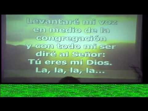 ALABANZA 8 NOVIEMBRE 2015