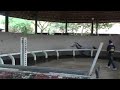 CARTHINO 3 YO  (CARTANO X VOLTAIRE) 4
