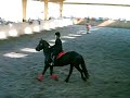 le-spetacle-danse-avec-lui-1-er-partie.html