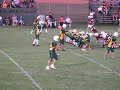 Messner 58 yard touchdown reception
