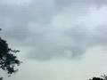 雷鳴轟く蓮に覆われた上野不忍池１