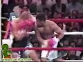 Phenomenal Boxing Knockouts
