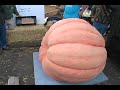 Auburn Community Festival Pumpkin Weigh Off Auburn Community Festival Pumpkin Weigh Off