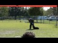 UnaNAWBA08GunAttack