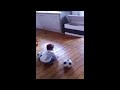 لاعب كراتية مجنون