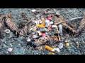 Charles Moore - the Great Pacific plastic trash island