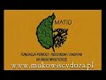 Mukowiscydoza 2008