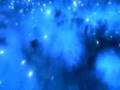 Dolphins Galaxia music video