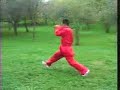 Xing Yi Quan Horse - Li Tai Liang Xing Yi Quan Horse - Li Tai Liang
