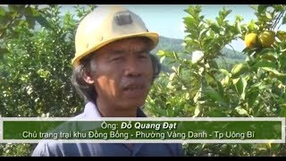 Phóng sự: Khi công nhân làm trang trại