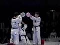 テコンドー サマーソルトキック(taekwondo)