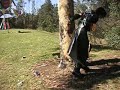 Summer Socal Gatheirng: Sync vs DomoKun Pinata