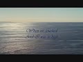Julio Iglesias-Crazy in love