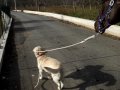 MOV01554.MPG