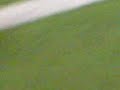 electronics futbol club