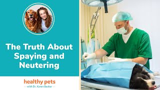 Why I've Had a Change of Heart About Neutering Pets