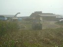 claas 870 speedstar fendt 926 harvest in italy silage mais