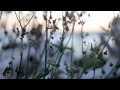 [FRAMED] Episode 15: Jay Goodrich Nature Photography