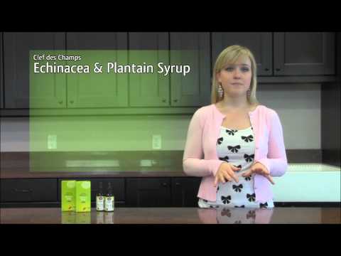 how to take echinacea