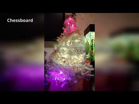 Christmas Lights Video