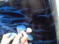 Airbrush Real Fire with Indian Skull in a headdress Airbrush Real Fire with Indian Skull in a headdress