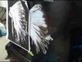 Airbrush Real Fire with Indian Skull in a headdress